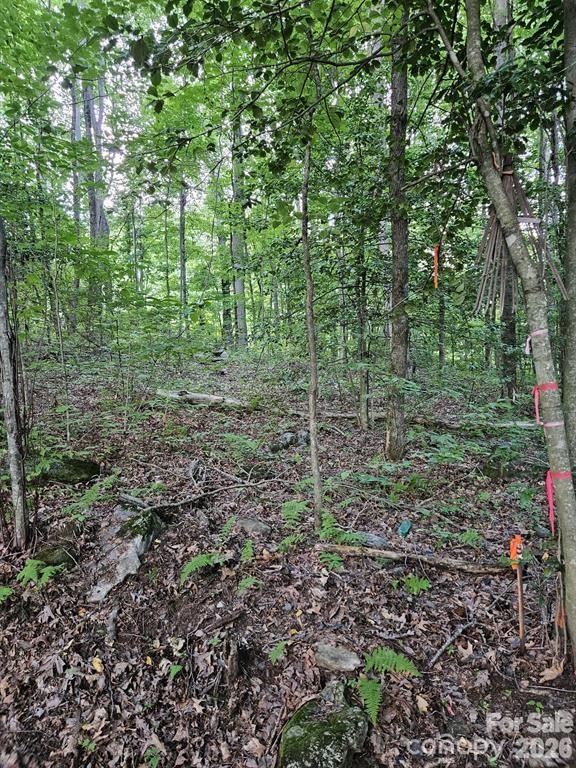 00 Hannah Hill Rd #3, Maggie Valley, NC 28751
