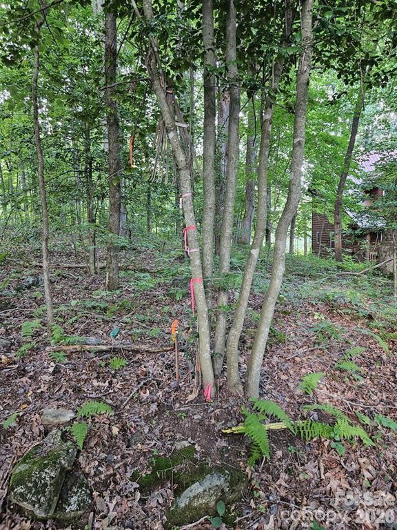 00 Hannah Hill Rd #3, Maggie Valley, NC 28751