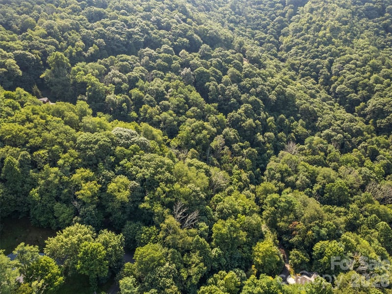 0 Twisted Trl #69, Waynesville, NC 28786