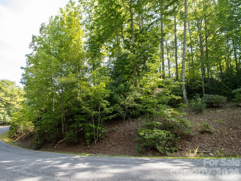 TBD Kelly Mountain Rd #19, Brevard, NC 28712