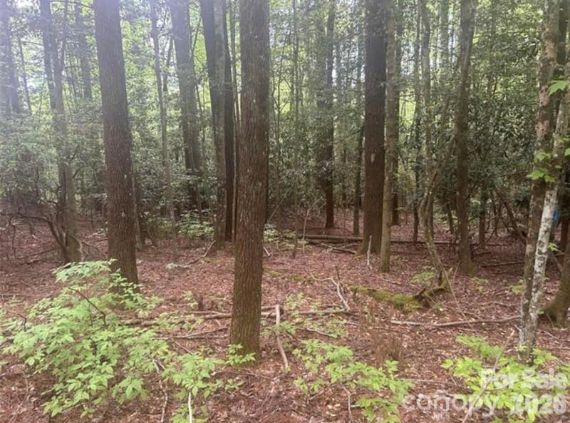 TBD Upper Whitewater Rd, Brevard, NC 28712