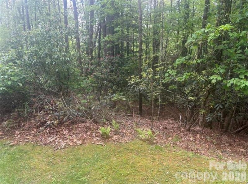 TBD Upper Whitewater Rd, Brevard, NC 28712