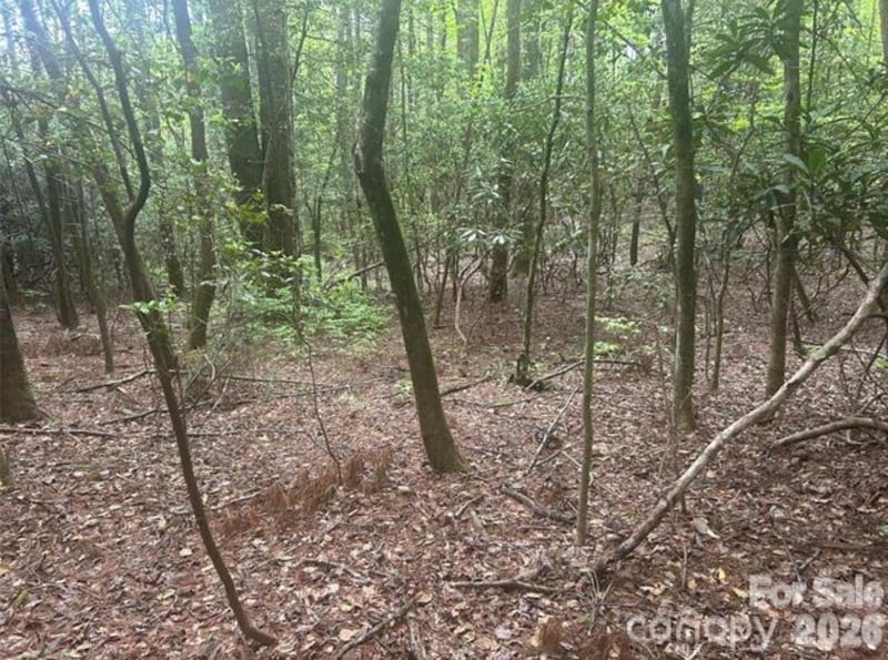 TBD Upper Whitewater Rd, Brevard, NC 28712