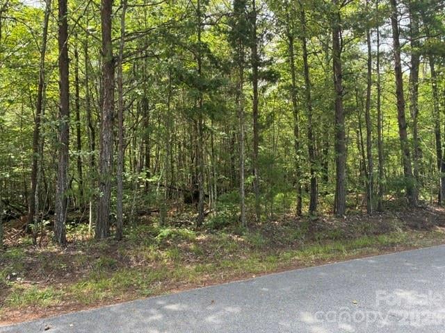 Lot 33 Justice Dr #33, Lake Lure, NC 28746