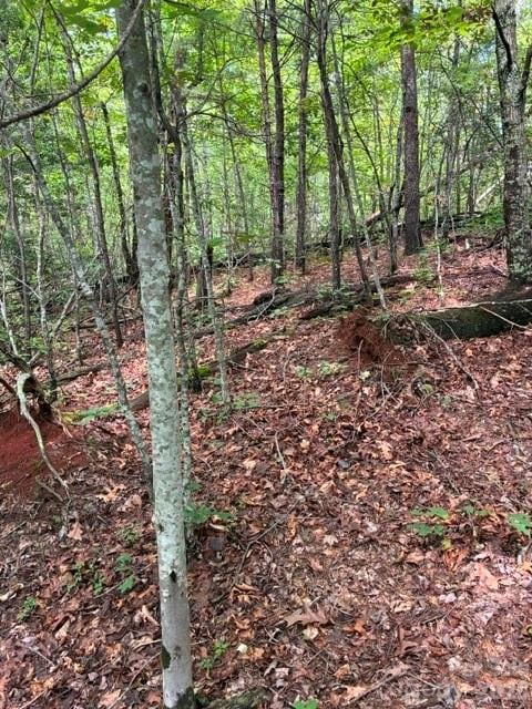 Lot 33 Justice Dr #33, Lake Lure, NC 28746