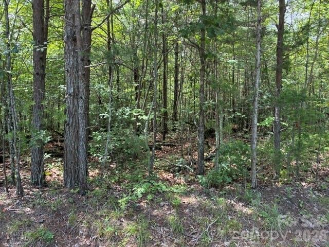 Lot 33 Justice Dr #33, Lake Lure, NC 28746