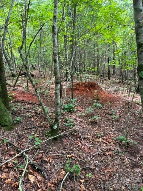 Lot 33 Justice Dr #33, Lake Lure, NC 28746