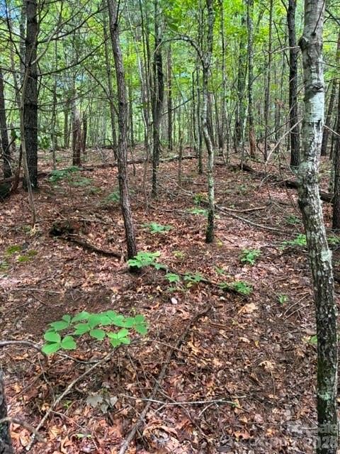 Lot 33 Justice Dr #33, Lake Lure, NC 28746