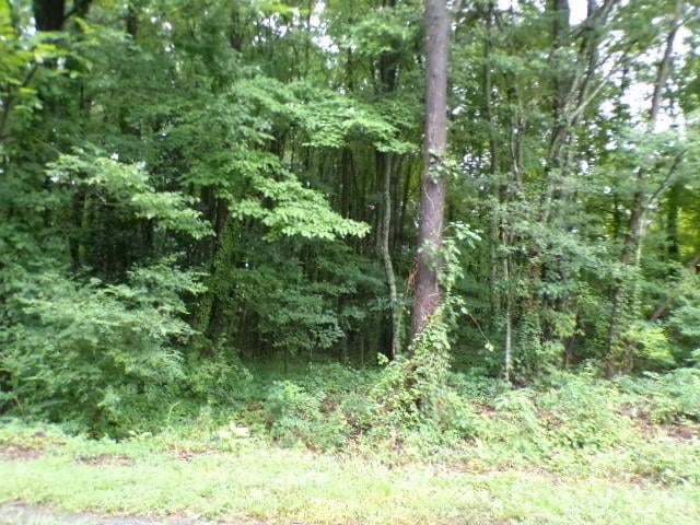 0 Larch Rd #28, Salisbury, NC 28147