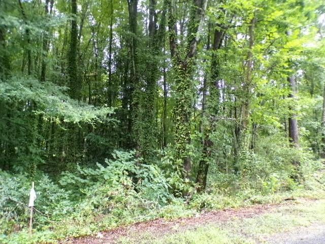 0 Larch Rd #28, Salisbury, NC 28147