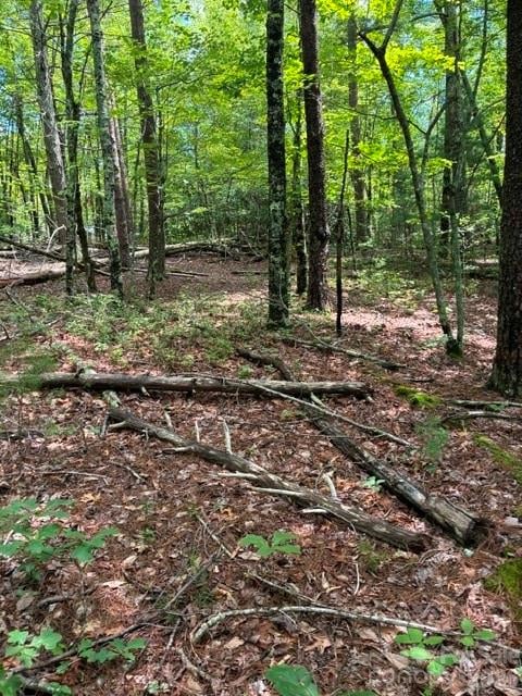 LOT 32 Justice Dr #32, Lake Lure, NC 28746