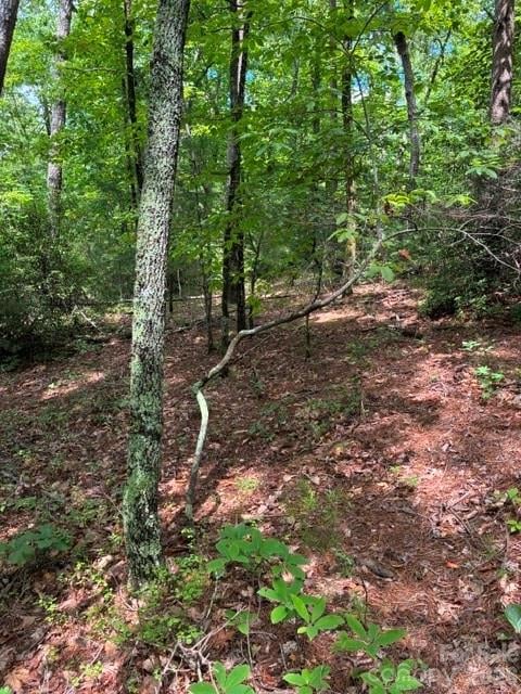 LOT 32 Justice Dr #32, Lake Lure, NC 28746