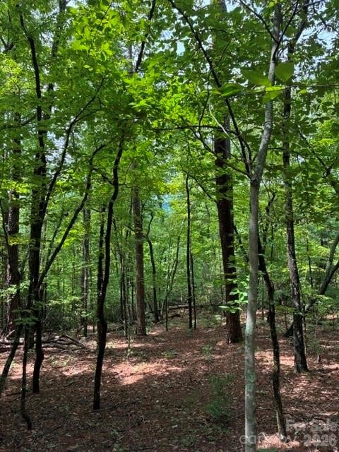 LOT 32 Justice Dr #32, Lake Lure, NC 28746