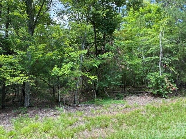 LOT 32 Justice Dr #32, Lake Lure, NC 28746