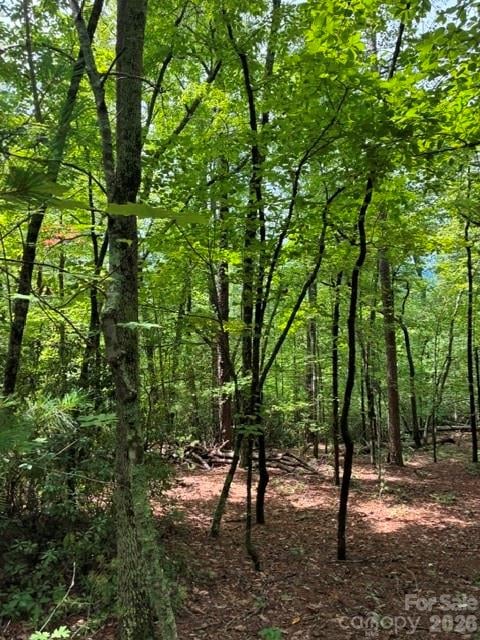 LOT 32 Justice Dr #32, Lake Lure, NC 28746
