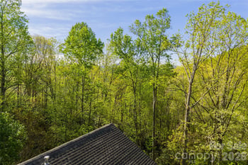 36 Snowshoe Dr, Asheville, NC 28803