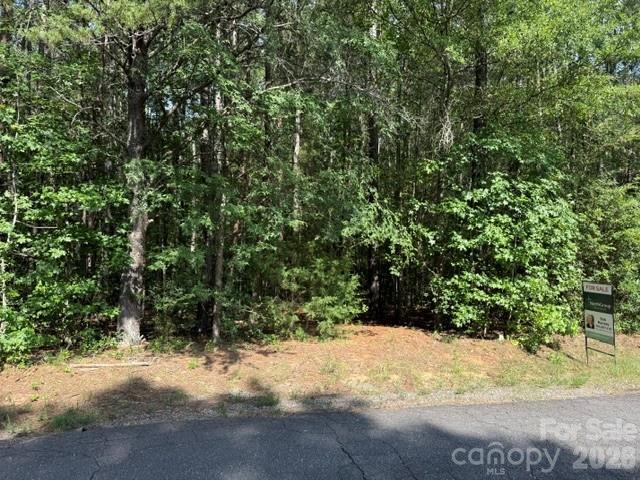 TBD Agnes Douglas Rd, Indian Land, SC 29707