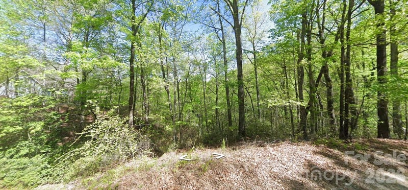 0 Buzzards Pl, Lake Lure, NC 28746