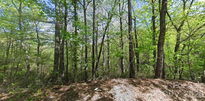 0 Buzzards Pl, Lake Lure, NC 28746