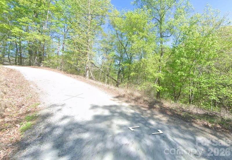 0 Buzzards Pl, Lake Lure, NC 28746