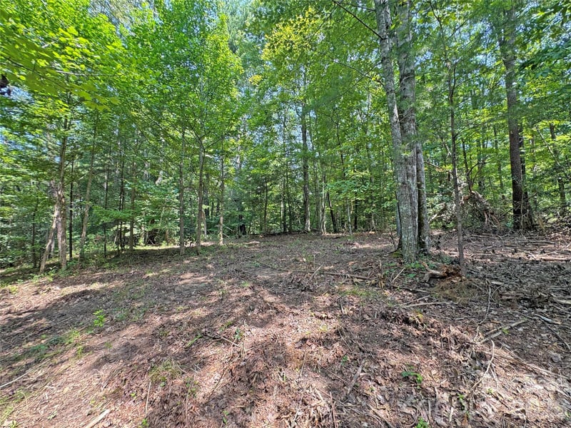 6080 River Rd, Hot Springs, NC 28743