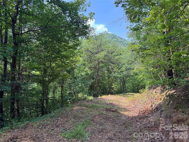 6080 River Rd, Hot Springs, NC 28743