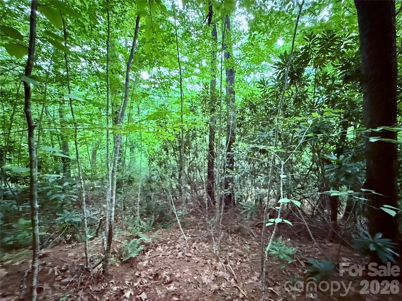 TBD Parkway View Ln #L1, Penrose, NC 28766