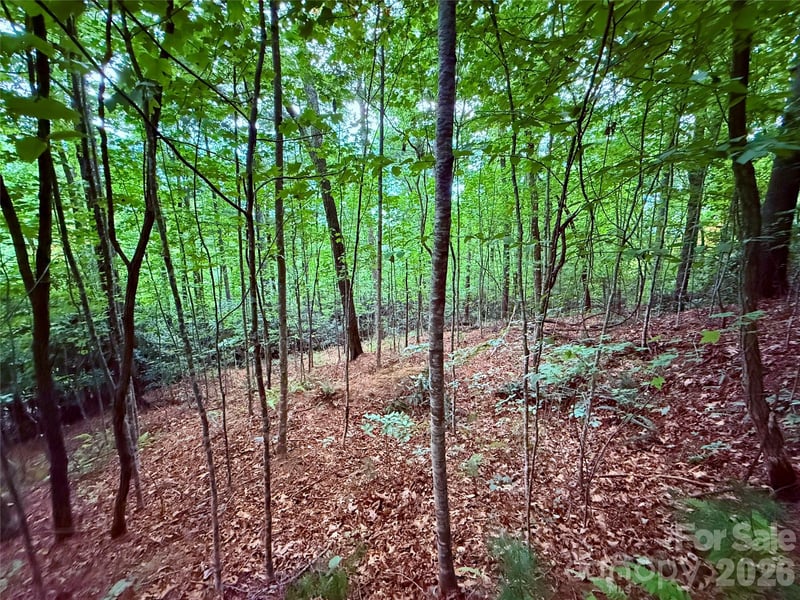 TBD Parkway View Ln #L1, Penrose, NC 28766