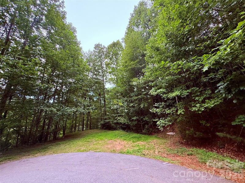 TBD Parkway View Ln #L1, Penrose, NC 28766