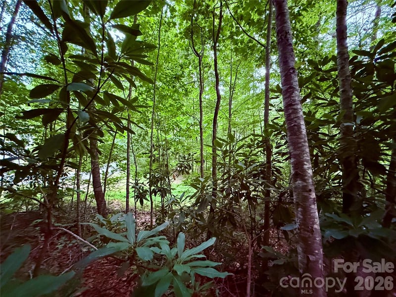 TBD Parkway View Ln #L1, Penrose, NC 28766