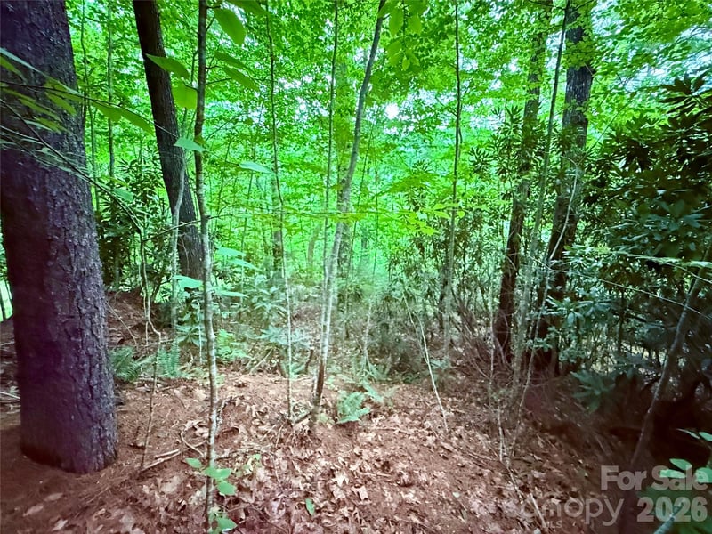 TBD Parkway View Ln #L1, Penrose, NC 28766