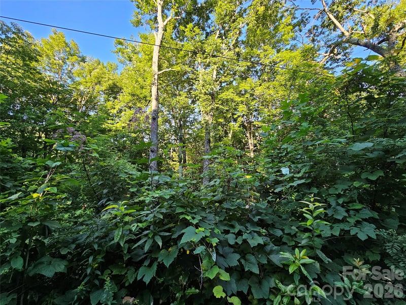 102 Big Ridge Rd #102, Burnsville, NC 28714