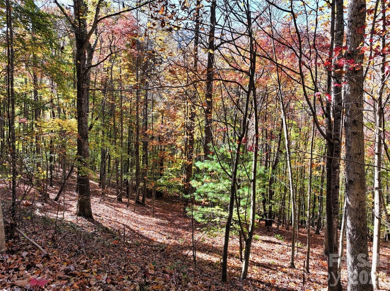 829 Stoney Stream Ln, Arden, NC 28704