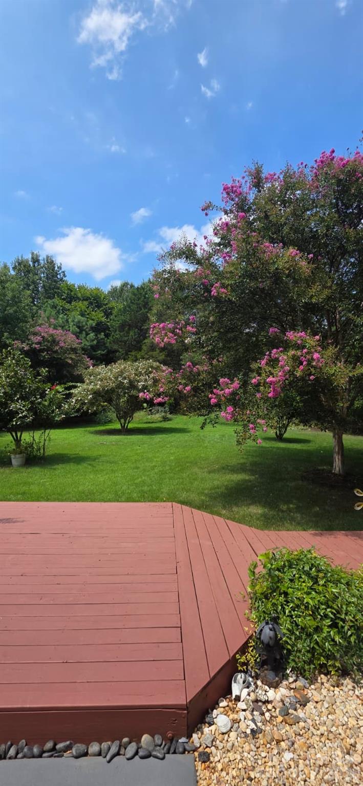 13316 Mallard Landing Rd, Charlotte, NC 28278