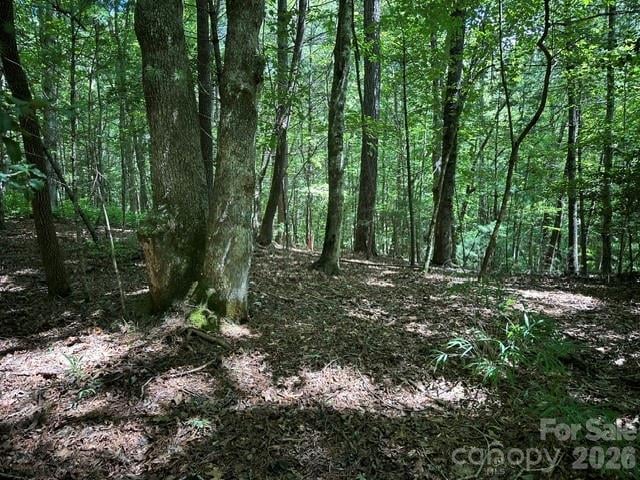 TBD Blossom Rd, Brevard, NC 28712