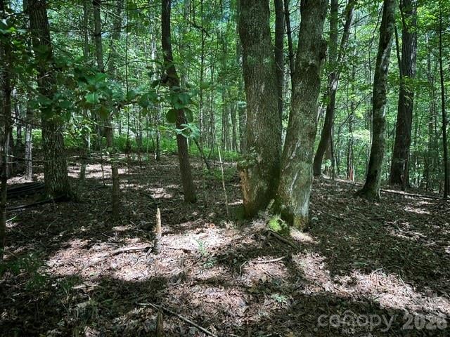 TBD Blossom Rd, Brevard, NC 28712