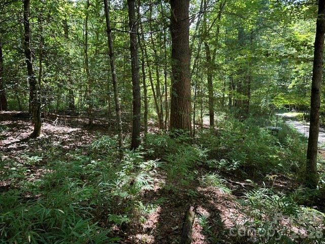 TBD Blossom Rd, Brevard, NC 28712