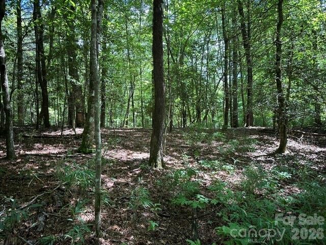 TBD Blossom Rd, Brevard, NC 28712