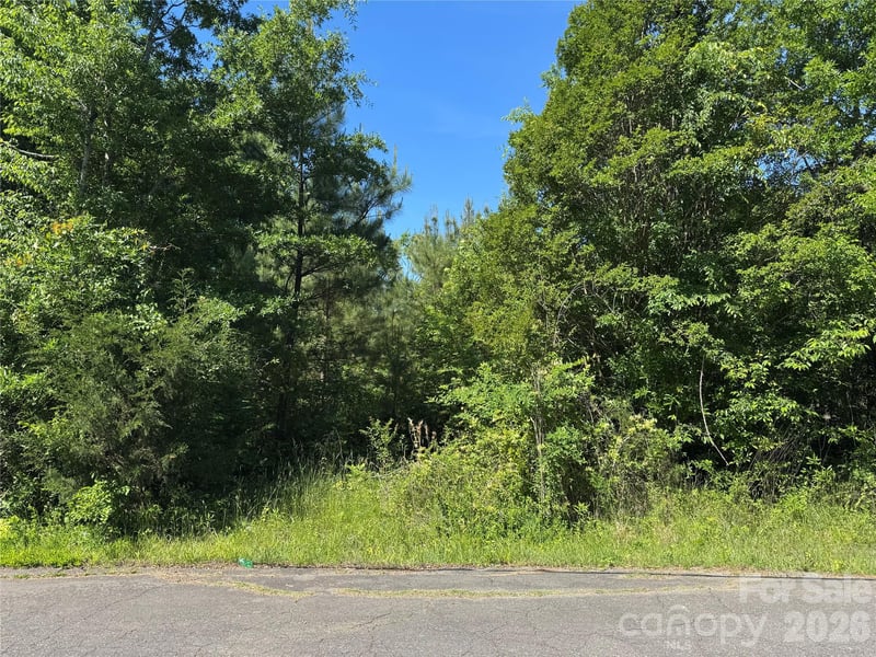 1129 Flint Street Extension, Rock Hill, SC 29730