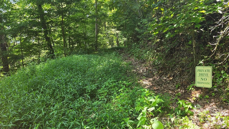 310 High Cliff Dr, Waynesville, NC 28786