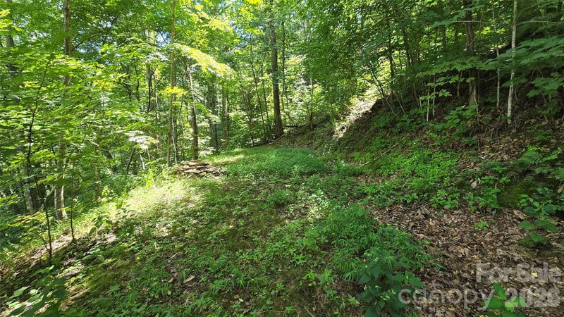 310 High Cliff Dr, Waynesville, NC 28786