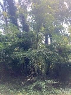 99999 Old Haw Creek Rd Lot 2, Asheville, NC 28805