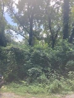99999 Old Haw Creek Rd Lot s 1 & 2, Asheville, NC 28805