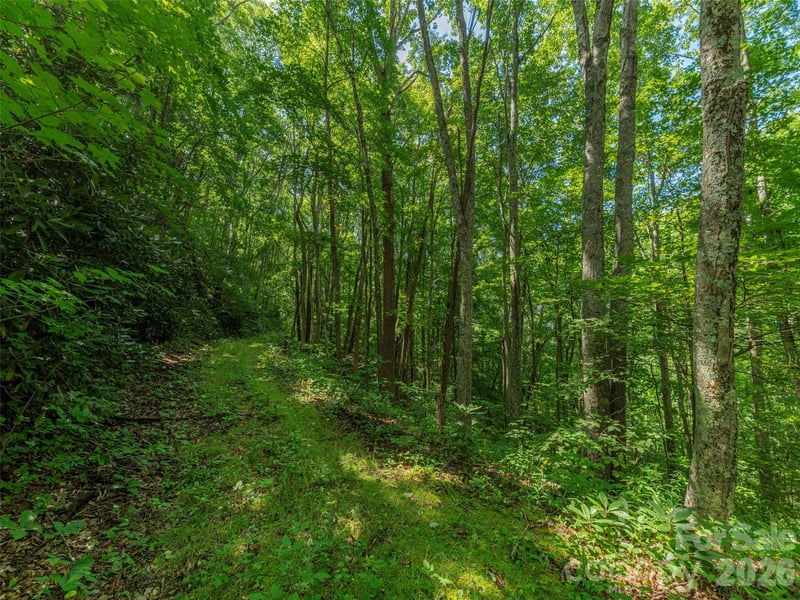 132 Grouse Rd #131, 132, 133, 134, Clyde, NC 28721