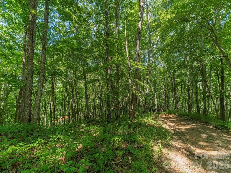 132 Grouse Rd #131, 132, 133, 134, Clyde, NC 28721