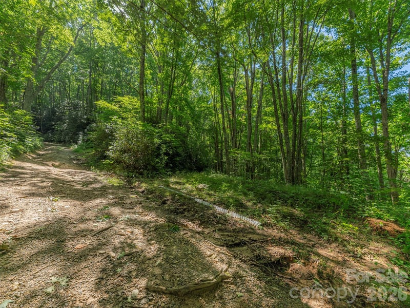 132 Grouse Rd #131, 132, 133, 134, Clyde, NC 28721