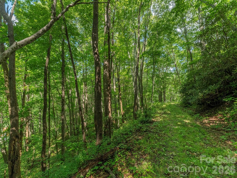 132 Grouse Rd #131, 132, 133, 134, Clyde, NC 28721