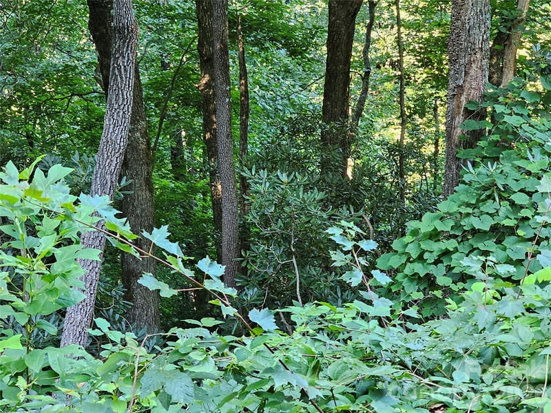 109 Big Ridge Rd #109, Burnsville, NC 28714