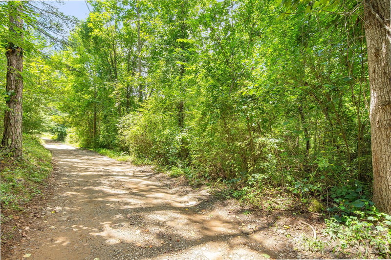 99999 Mid Court Dr, Asheville, NC 28804