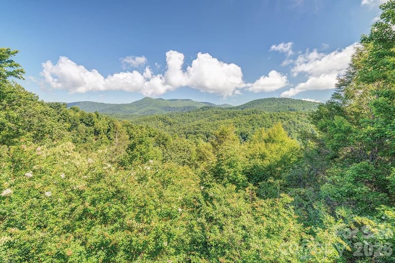 94 Marcellina Dr, Fairview, NC 28730